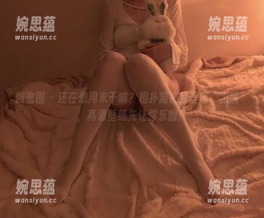 相扑猫 微密圈 - 还在想周末干嘛?相扑猫携红丝带“出圈”,高清壁纸先让你乐翻!